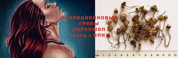 скорость Аркадак